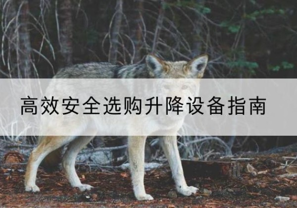 涟源升降货梯厂家推荐-*安全选购升降设备指南