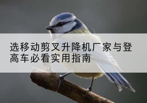 涟源电动升降机厂家-选移动剪叉升降机厂家与登高车必看实用指南